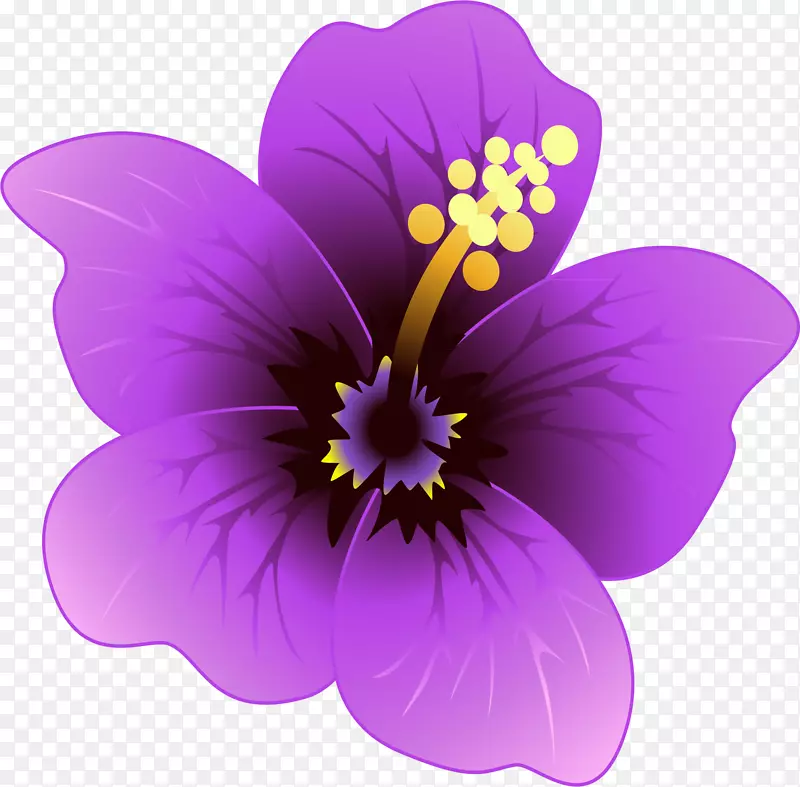 紫罗兰花紫丁香