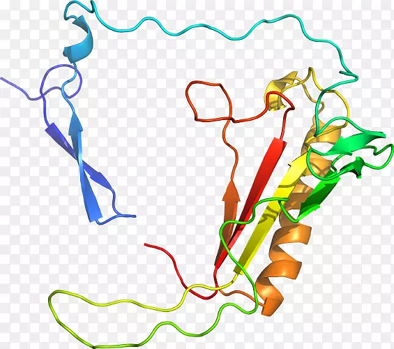 线点生物剪贴画线