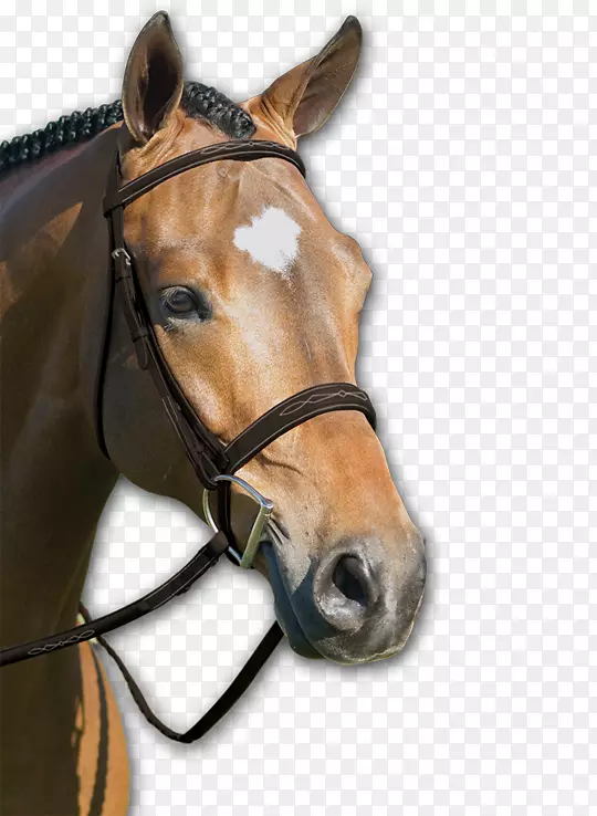马缰绳-英式骑马