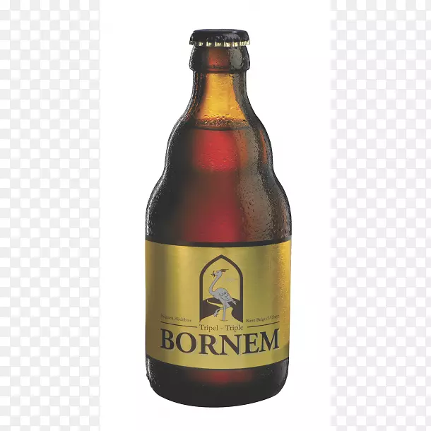 ALE Brouwerij van Steenberge啤酒瓶
