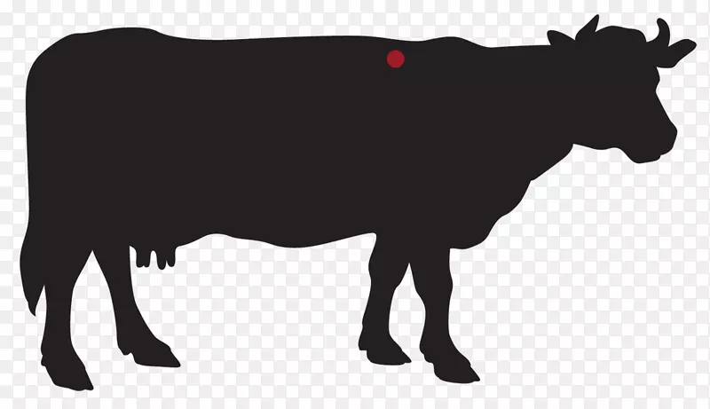 荷斯坦、弗里西亚牛、泽西牛、奶牛业、奶牛.肋骨肉眼牛排