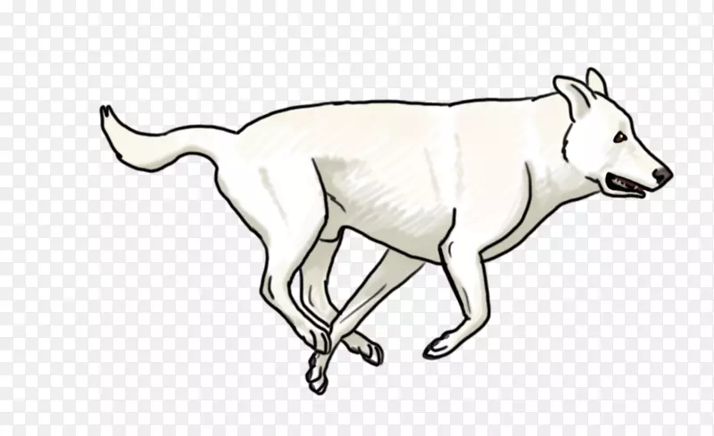 狗线艺术白色野生动物-狗