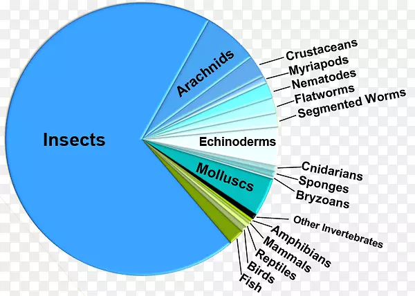 饼图昆虫生物学物种多样性显微镜下的细菌