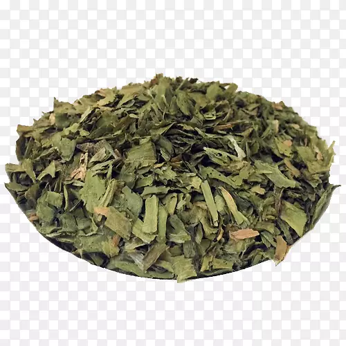 尼尔吉里茶参茶植物-特别是