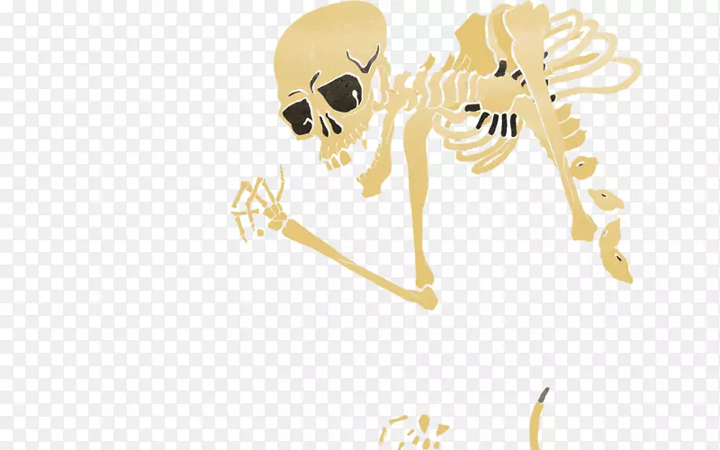 人类骨骼猴子图-骨骼