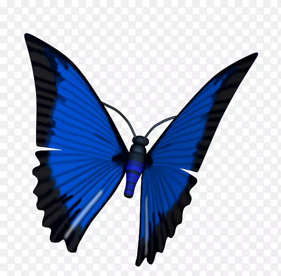 蝴蝶毛茸茸的蝴蝶动画电影三维计算机图形电脑动画蝴蝶