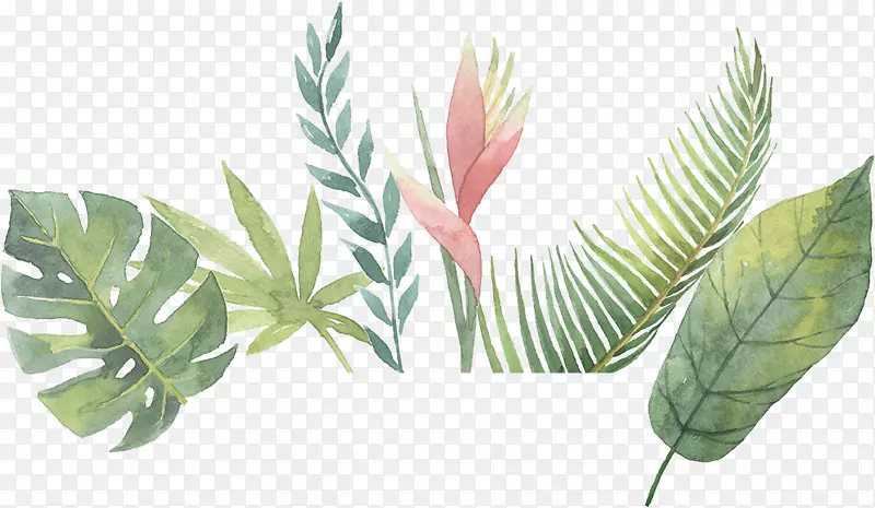 植物抽象艺术描述-植物