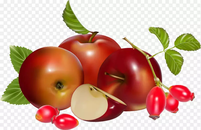 苹果玫瑰巴巴多斯樱桃番茄苹果