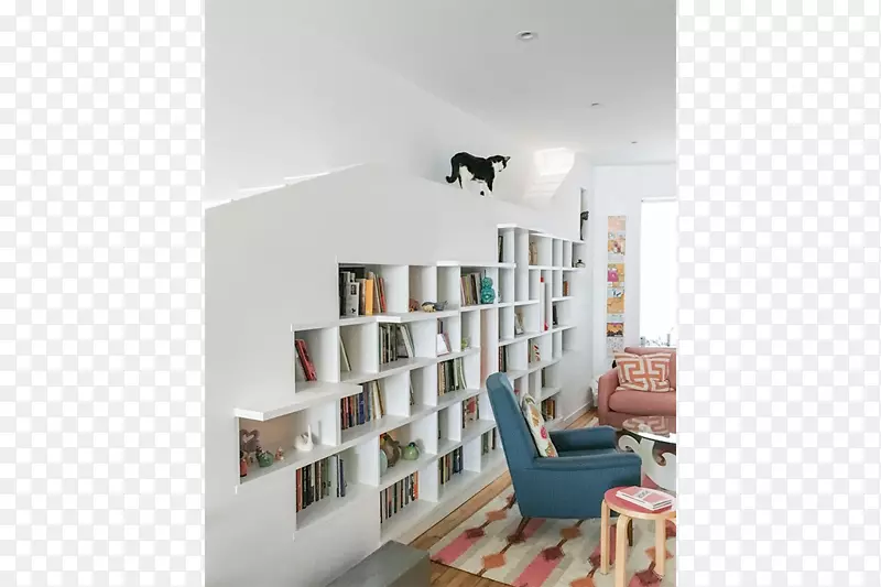 猫bfdo建筑师住宅宠物猫