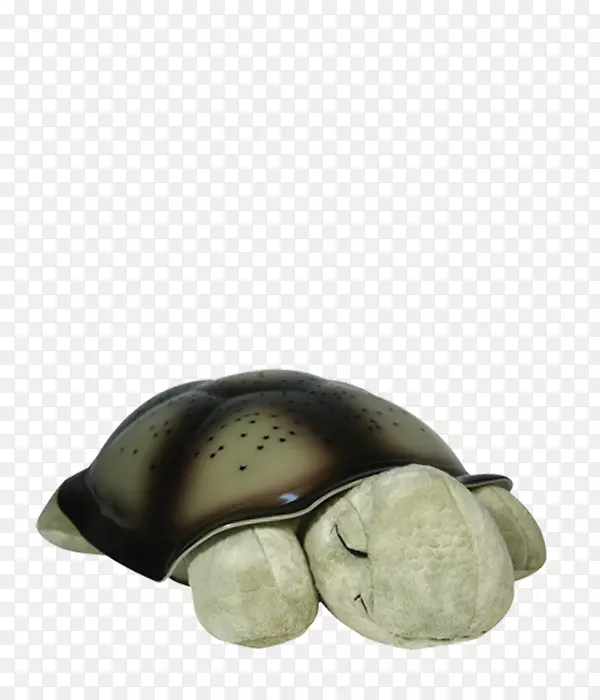 海龟夜灯Amazon.com星座-海龟