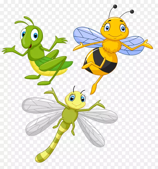 昆虫和花蜂画-昆虫