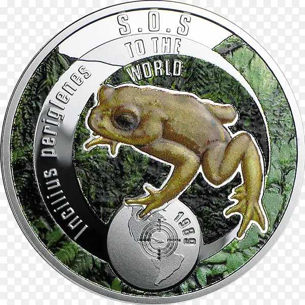 蟾蜍真青蛙硬币