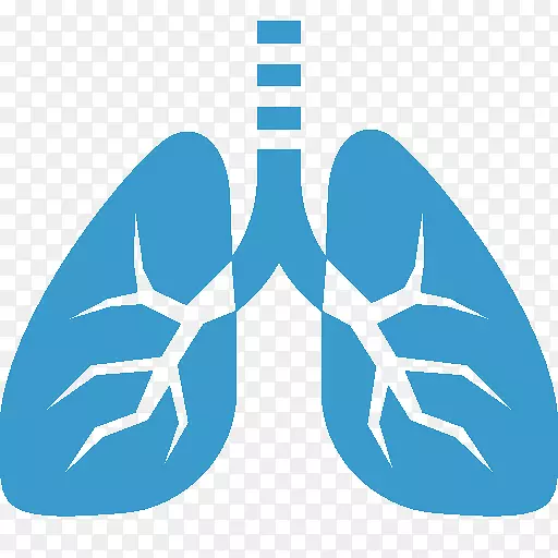 肺肺泡夹艺术-心血管