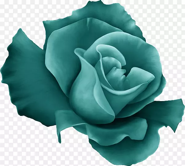 花园玫瑰，蓝玫瑰，卷心菜，玫瑰，绿色剪贴画-花