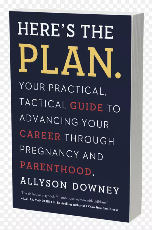 这是你的计划。：你的实用战术指南，在怀孕期间和为人父母期间，你的职业生涯将重新回到工作中去：如何为女性规划和指导从产假中获得回报的策略。