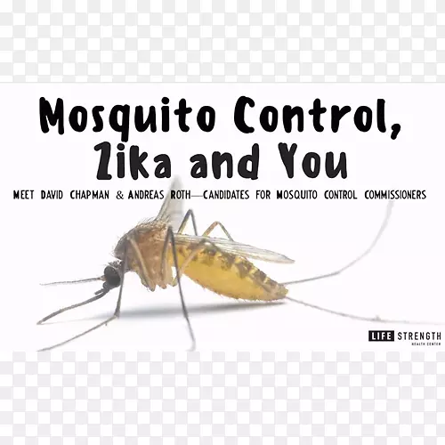 灭蚊生态科技防治蟑螂-蚊子