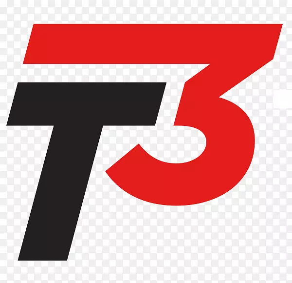 标志T3赛车Wrotham品牌凯旋代托纳675-摩托车部件