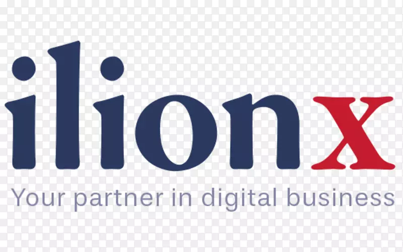 iionx集团bv商务智能信息技术力量双业务