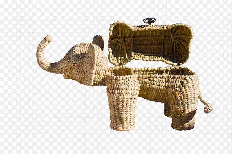 印度象非洲象动物吉娃娃-保尔