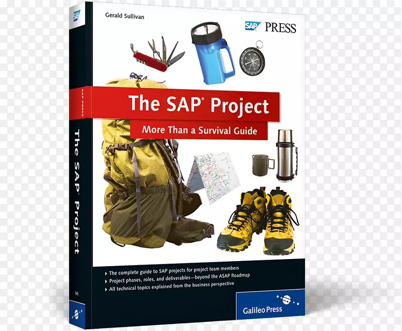 sap项目：不仅仅是生存指南，生存的sap审计项目管理项目组-西部之旅在线ii