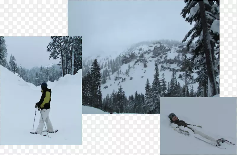 滑雪装订滑雪旅行滑雪杆滑雪雪橇冬季