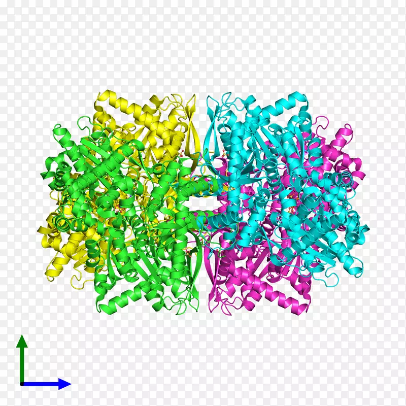 车身珠宝线字体线