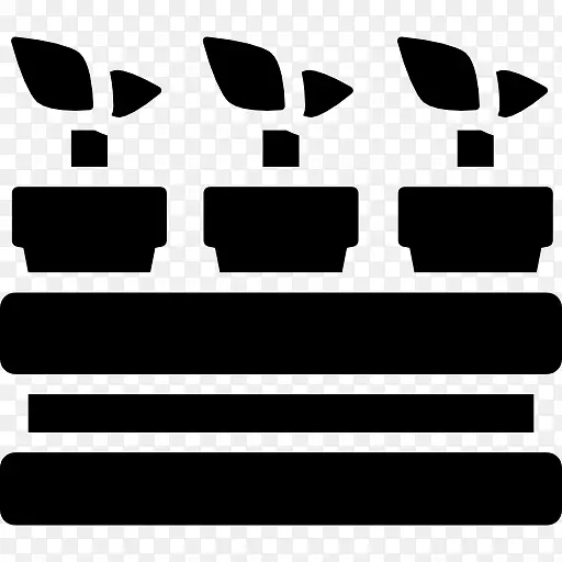 计算机图标封装后记字体-自然植物学