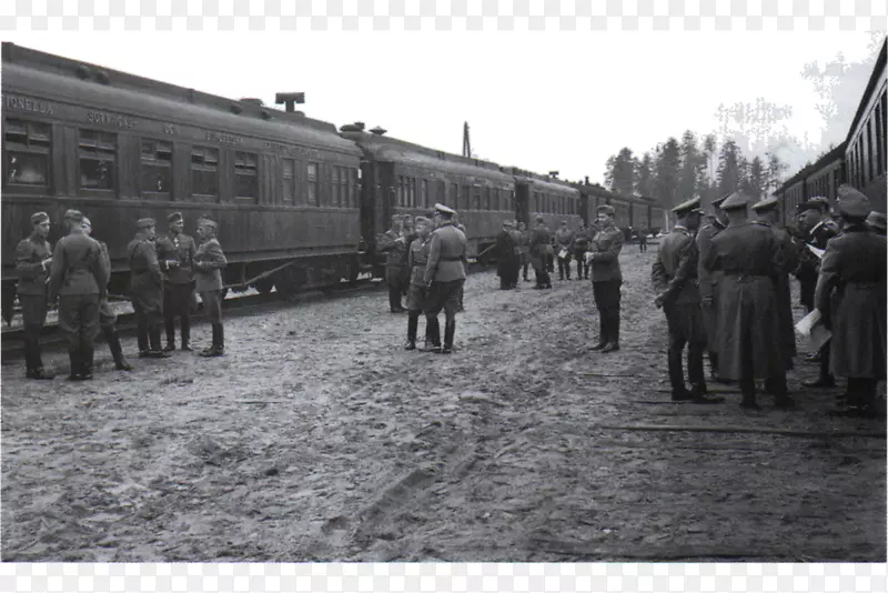 芬兰现场编组铁路运输铁路车厢列车-萨梅莱宁库尔图里