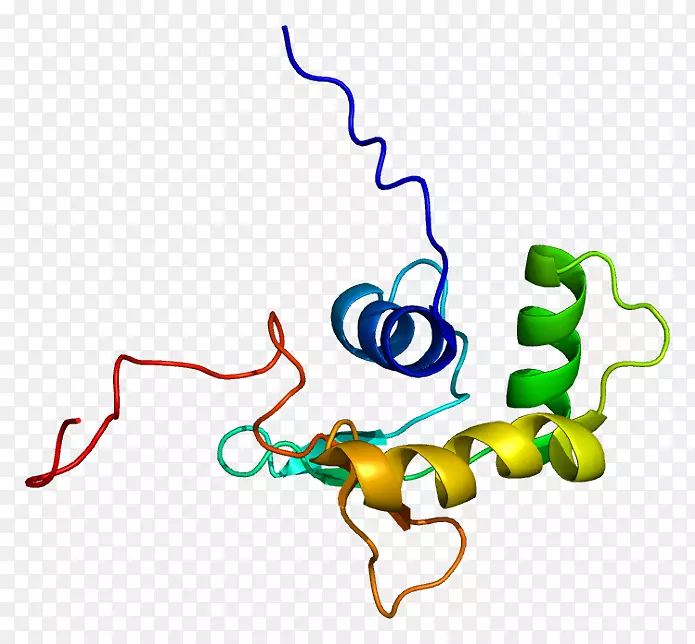 ELF 5蛋白基因Uniprot p53