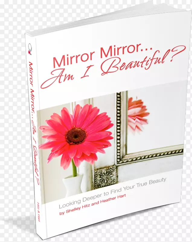 镜子.。我漂亮吗?更深入地寻找你的镜子.我漂亮吗？Amazon.com Shelley Hitz书-平装本