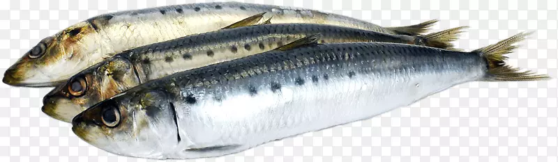 沙丁鱼油鱼ω-3脂肪酸鱼油极低卡路里饮食