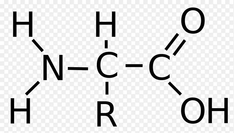 乙酸化学结构式羧酸氨基酸