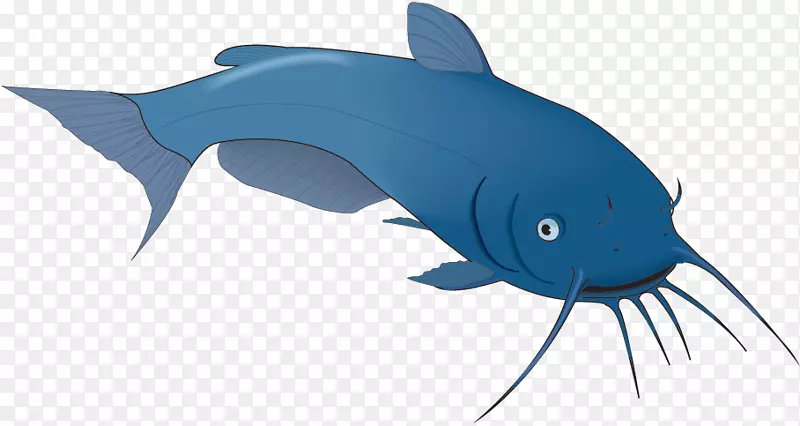 鲨鱼海豚骨骼鱼类海豚海洋生物-鲨鱼