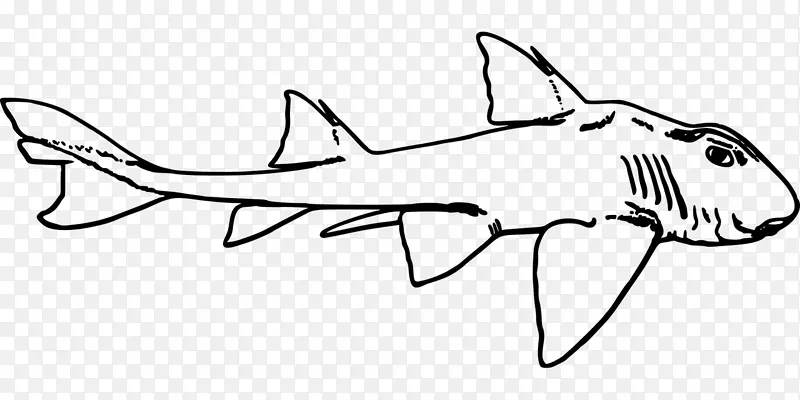 豹鲨剪贴画-鲨鱼