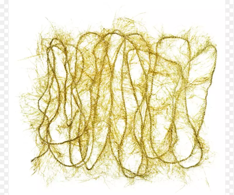 绳绒织物紫外线橄榄极地电ダビング-橄榄