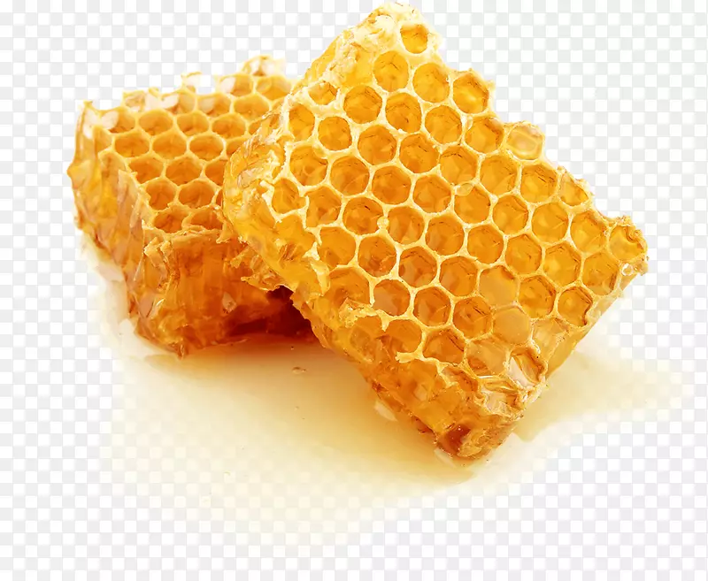蜂巢蜜蜂