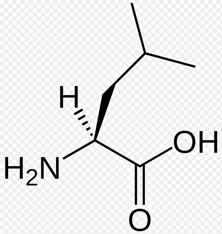 异亮氨酸支链氨基酸必需氨基酸