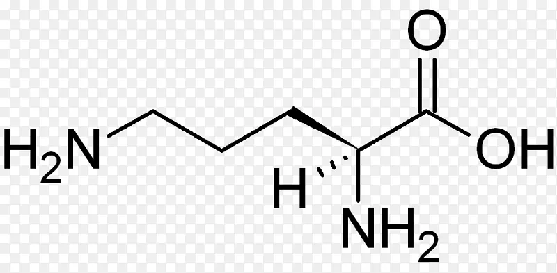 谷氨酰胺、谷氨酸、氨基酸、亮氨酸、色氨酸