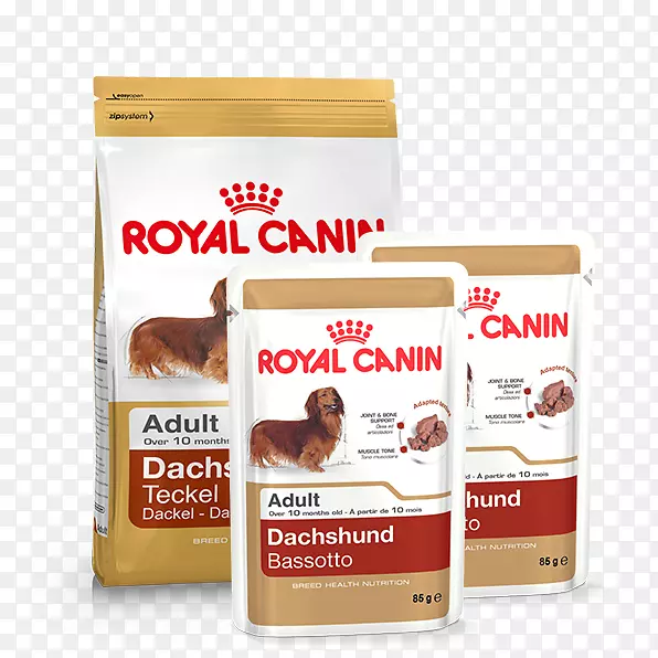 英国小猎犬，拉布拉多猎犬，猫，狗食，皇家犬-猫