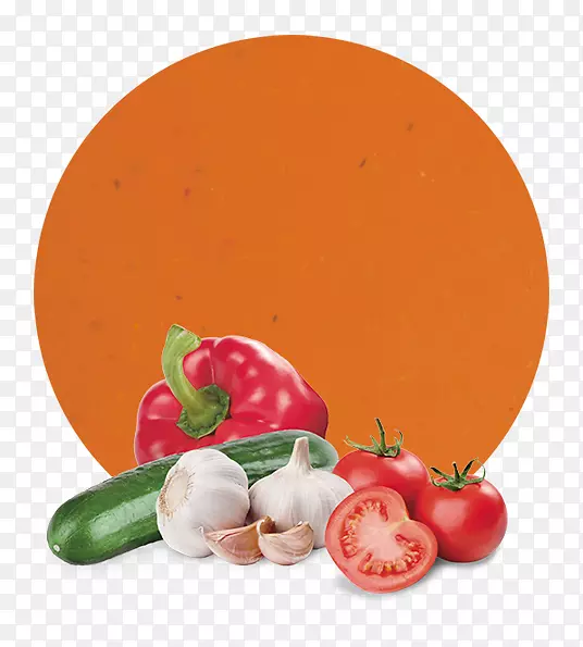 番茄酱汁素食菜肴混合蔬菜汤-番茄