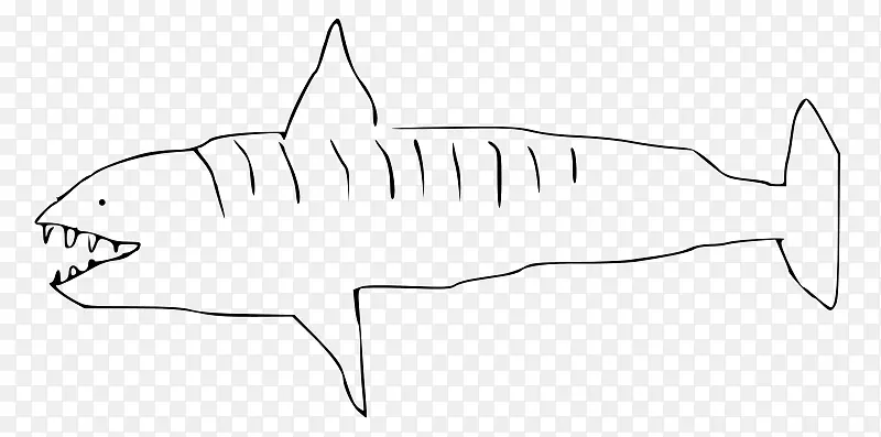 老虎鲨鱼维基媒体共用维基媒体基金会绘制剪贴画