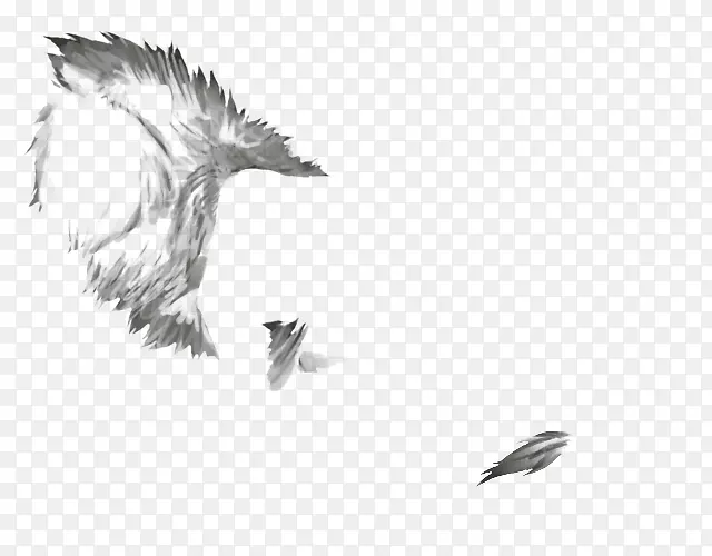 秃鹰喙羽白色字体羽毛