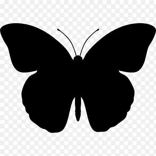 蝴蝶电脑图标剪贴画网翅虫
