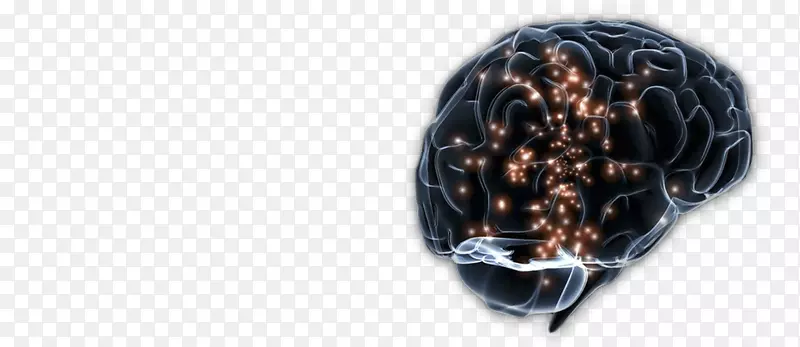 人脑神经系统功能神经元自我损害