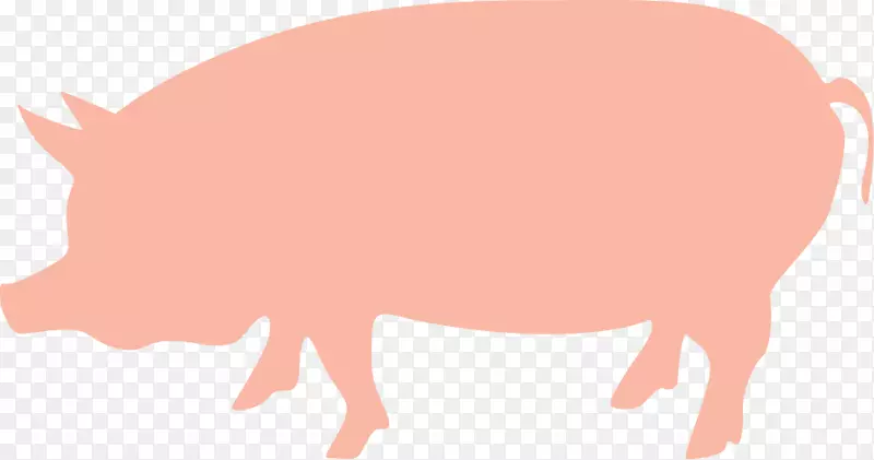 家猪动物自然资源剪贴画-猪
