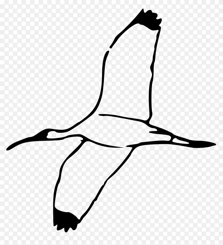 鸟鹤鸟夹艺术-鸟