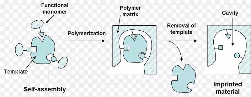 分子印迹聚合物分子印迹分子构型