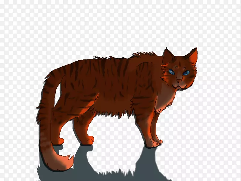 胡须猫亚麻红狐艺术猫
