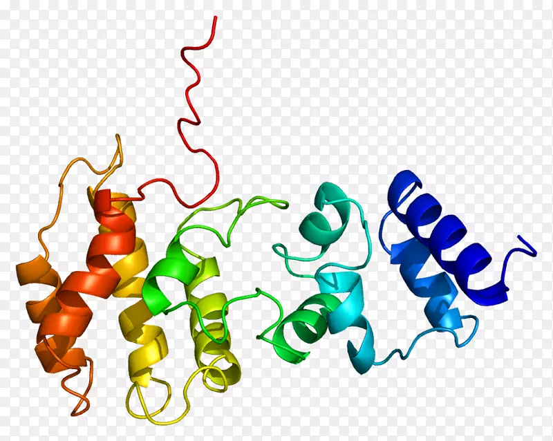 cyth 3基因卡子cyth 1蛋白