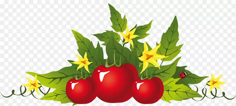 番茄汤番茄汁蔬菜剪贴画-蔬菜